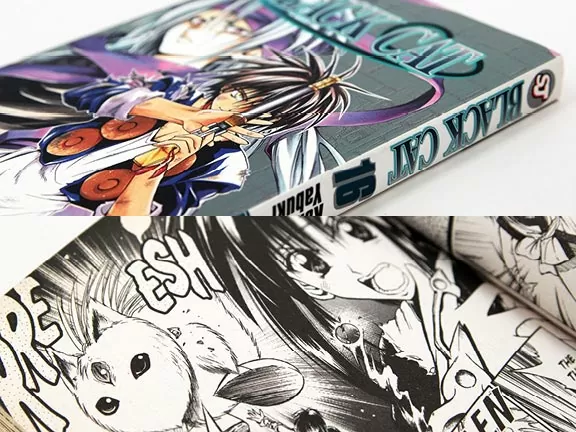 Design a manga, Japanese Anime Manga Graphic Novel Design Based on Industry Standards